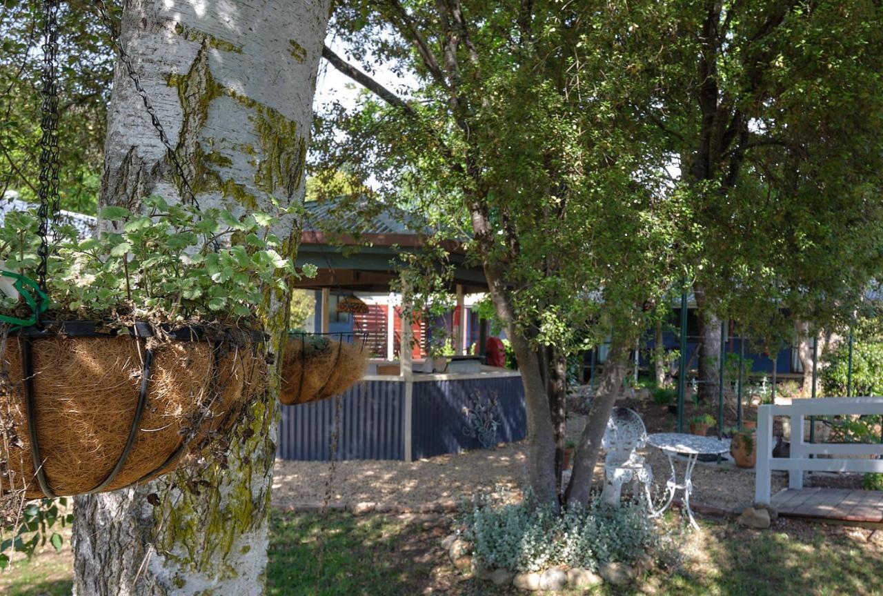 Edlin House Otel Bright Dış mekan fotoğraf